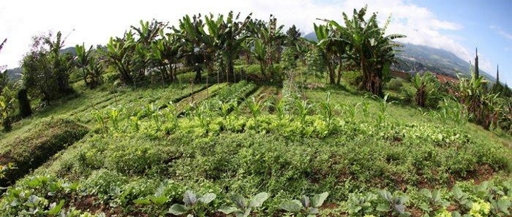 Organic Farm